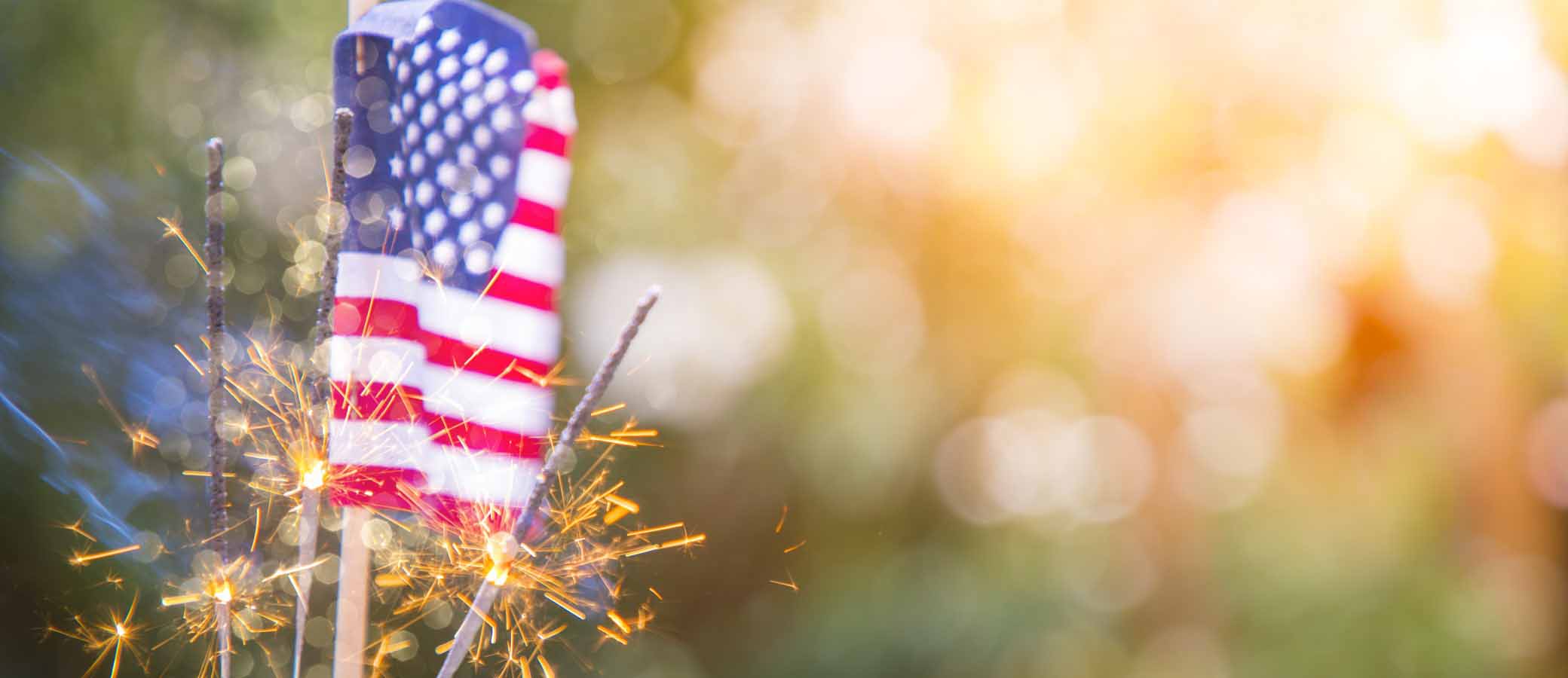 Celebrate Freedom, Hug a Lawyer Background Decorative Image