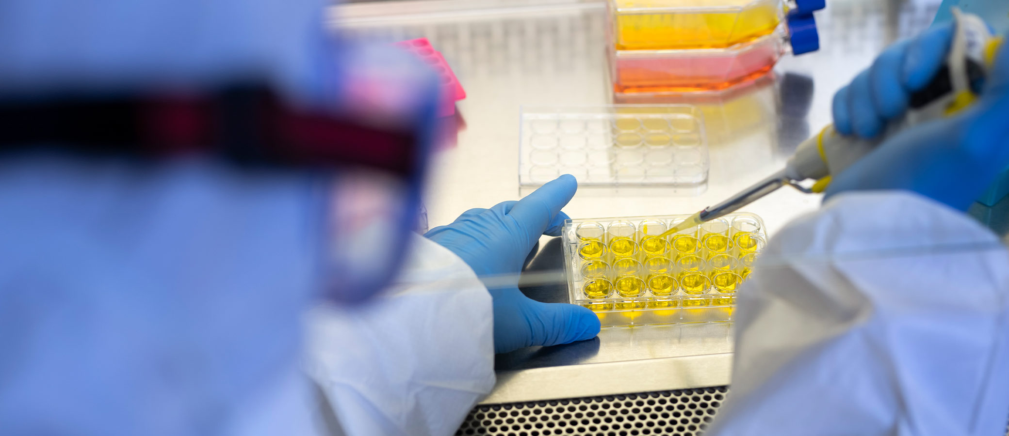 When Near-Perfect Isn’t Good Enough – Lawsuit Alleges Securities Law Violations by COVID-19 Test Manufacturer