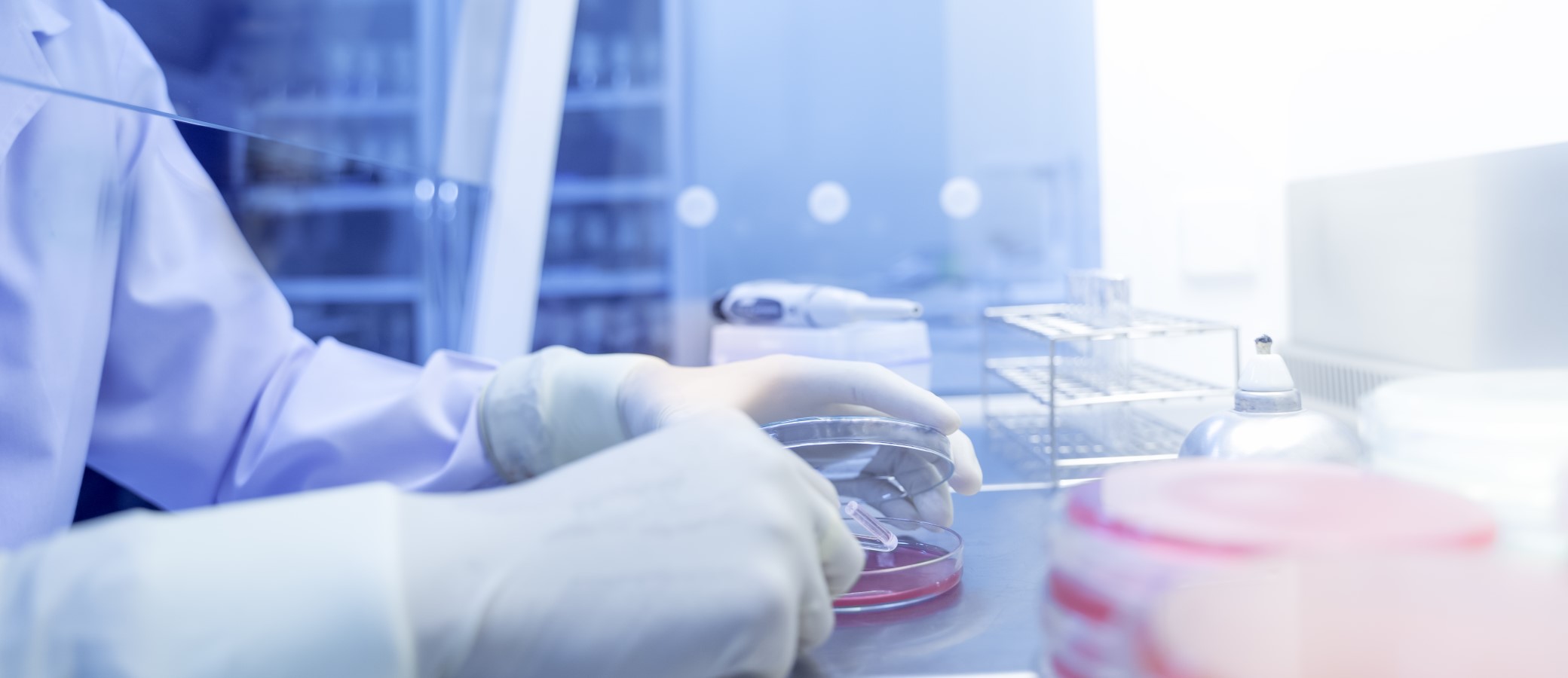 EEOC Leans on CDC to Reject Antibody Testing in Employer Return-to-Work Programs Background Decorative Image