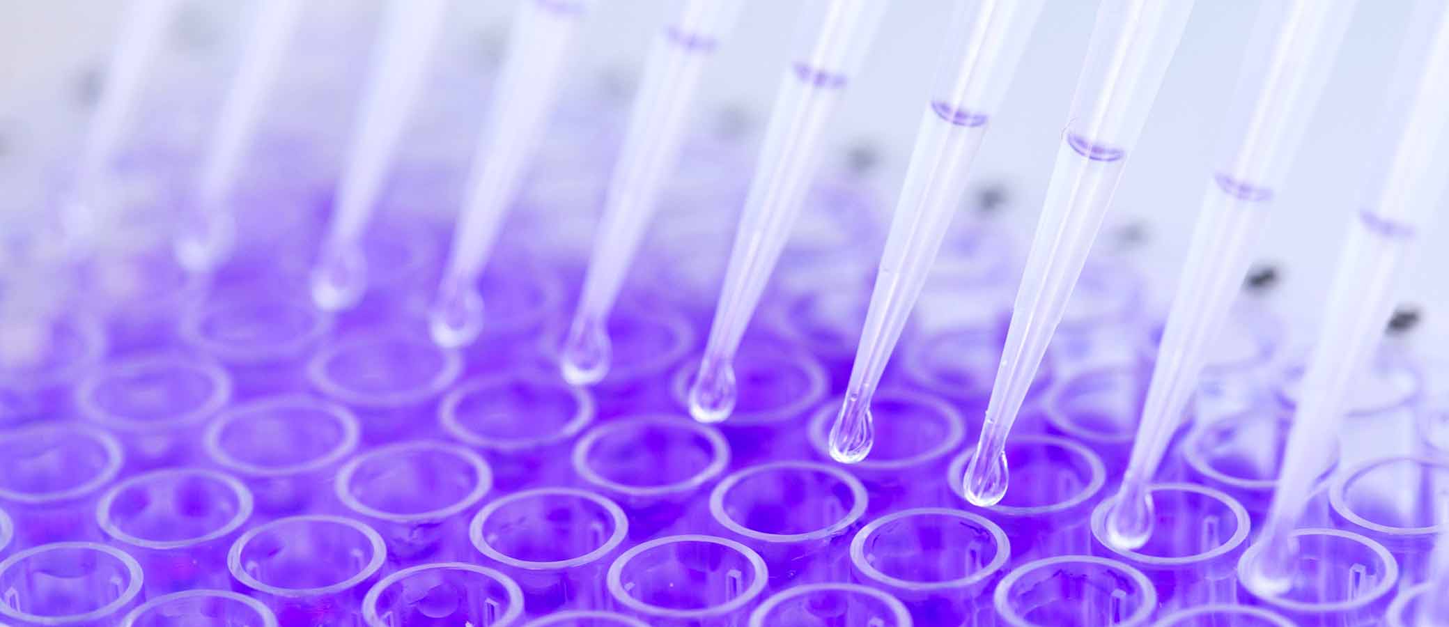 Justice Department Focuses on Fraud as a Result of Coronavirus Pandemic Background Decorative Image