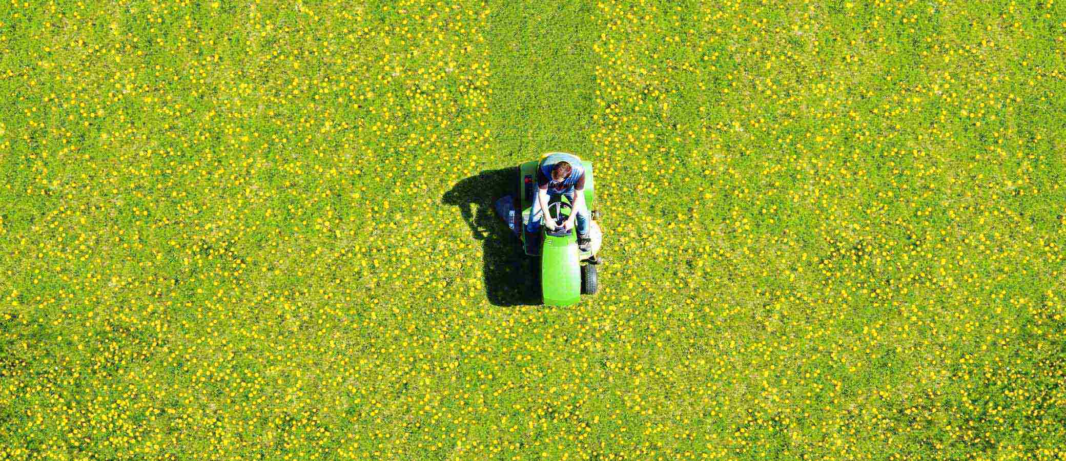 Employment Laws Also Apply to Your Household Caretakers Background Decorative Image