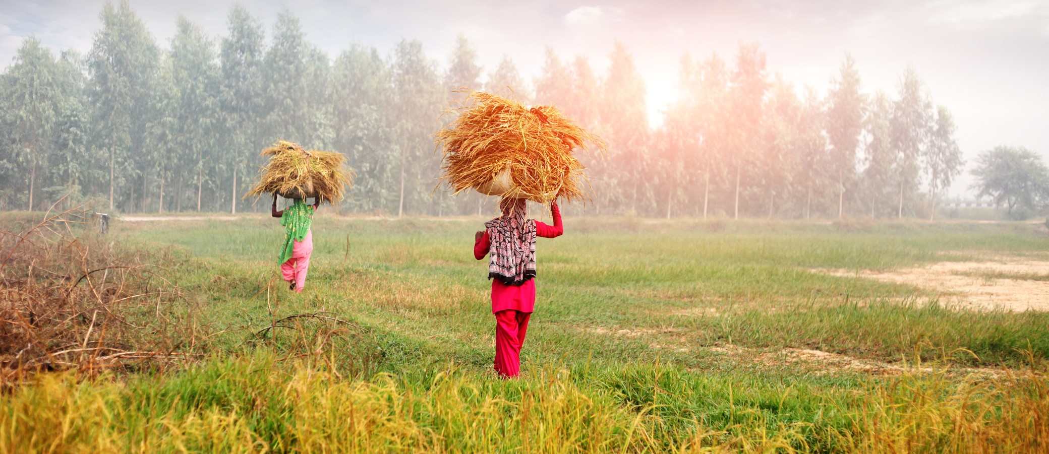 Human Rights and Environmental Law: The Overlooked Interaction Gains Traction With Climate Change Background Decorative Image