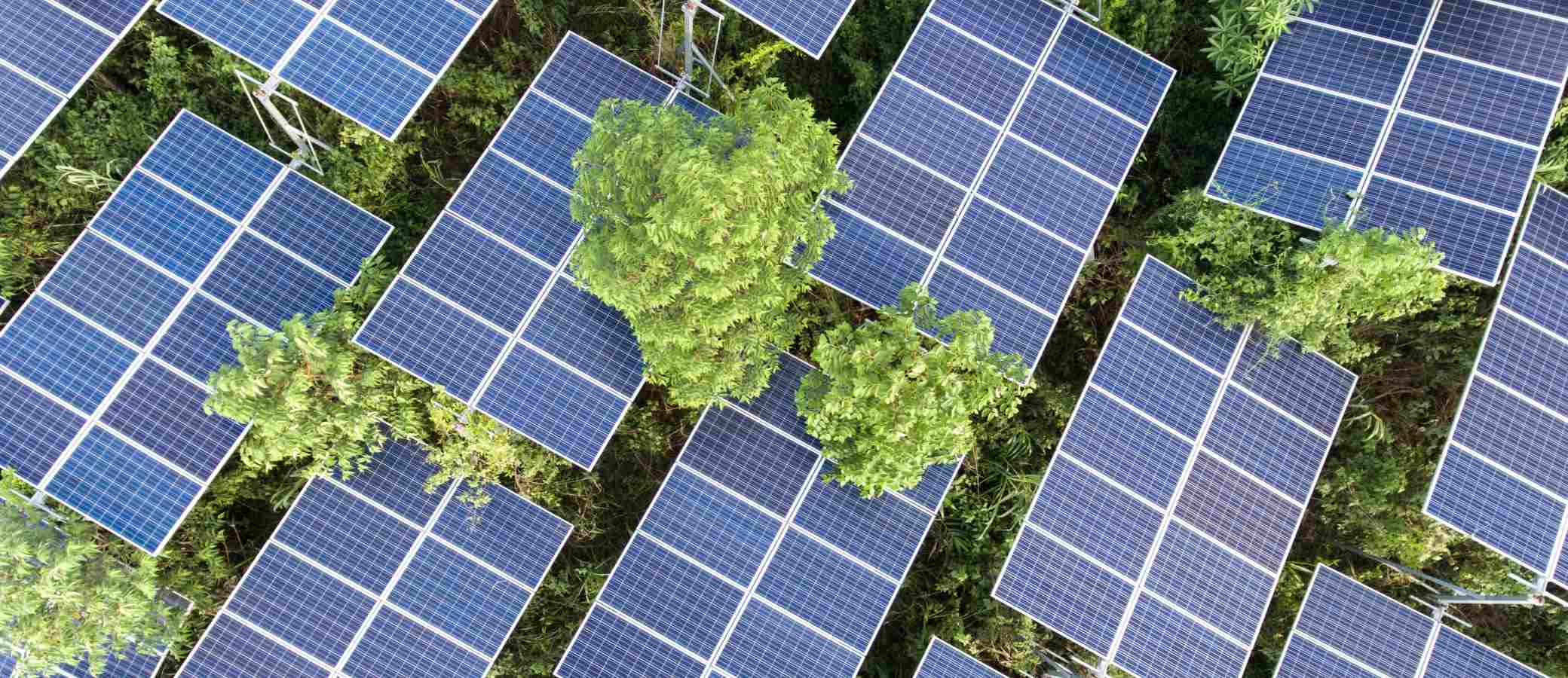 The Future of Cleantech Innovation and Investments in Renewable Energy Background Decorative Image