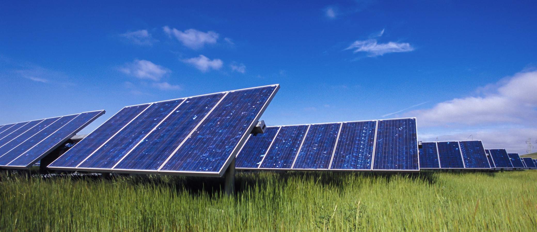Environmental Risks Persist No Matter the Asset: Considerations for Financing Renewable Power Projects, Part 2 Background Image