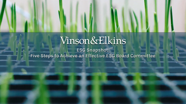 ESG Board Committees, Part II Background Image