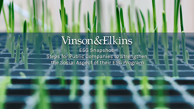 Steps for Public Companies to Strengthen the Social Aspect of their ESG Program Background Image