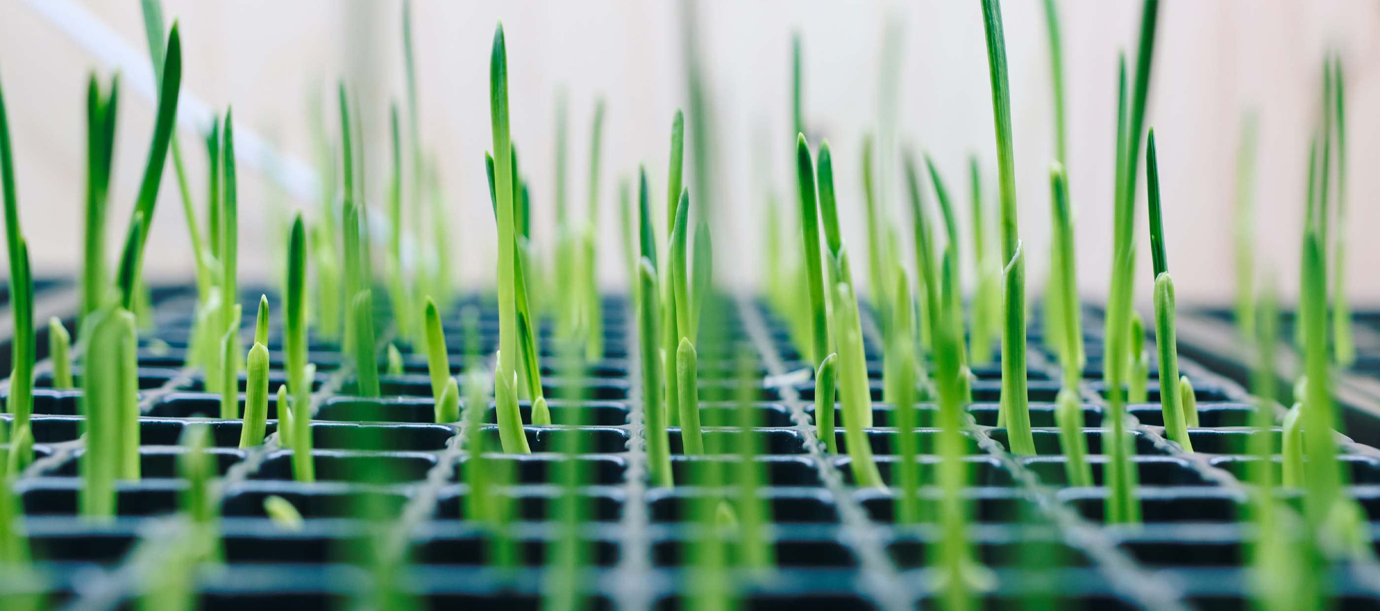 Environmental, Social and Governance (ESG) Background Image
