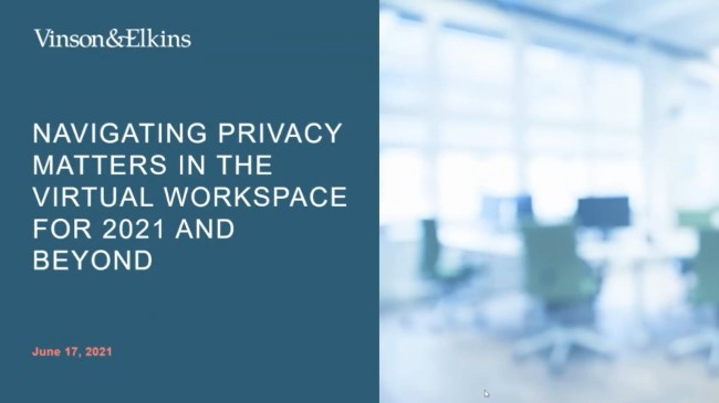 Navigating Privacy Rules in a Virtual World Background Image